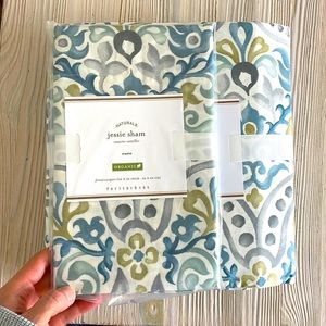 New organic potterybarn king duvet/sham